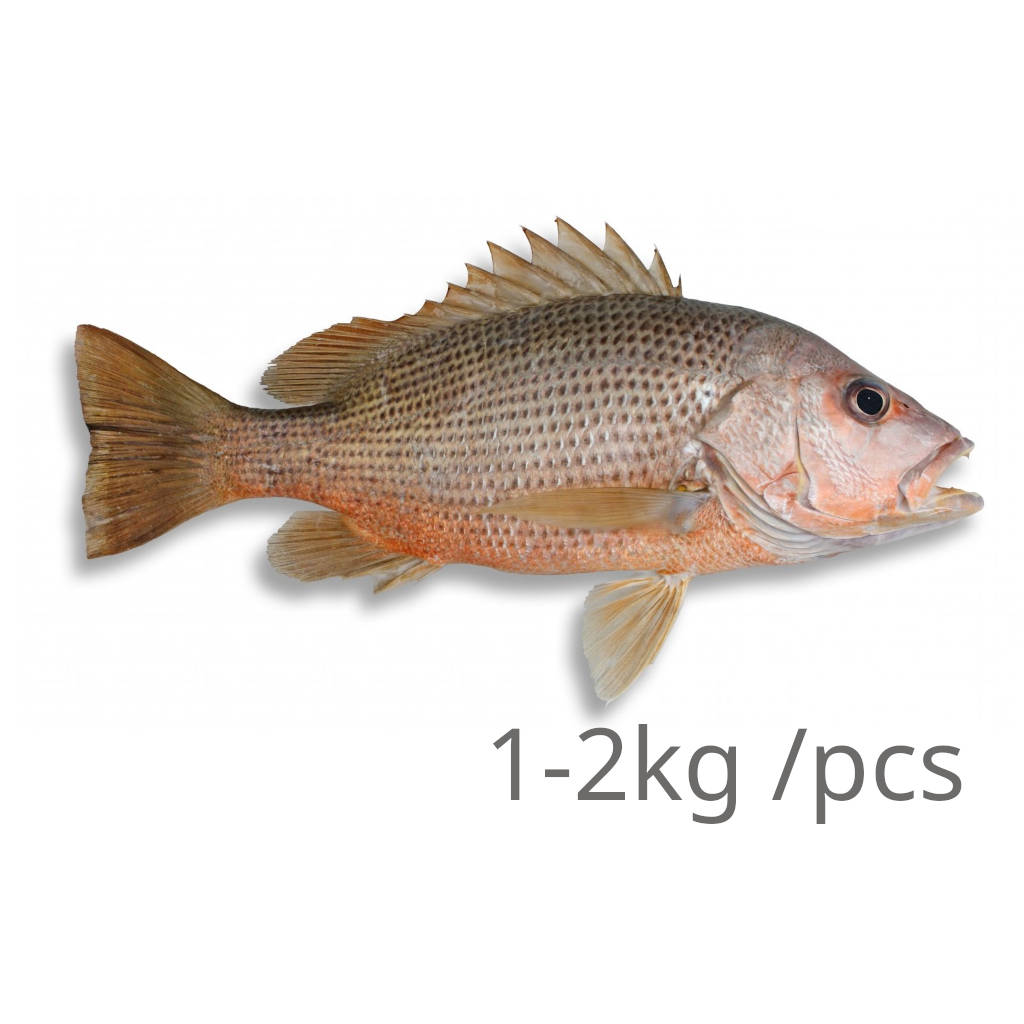 FZ Jenahak 1000-2000 (Kg)