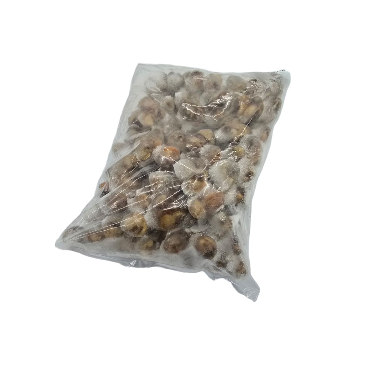 FZ Isi Kerang 300-500 (IQF) (PKT)