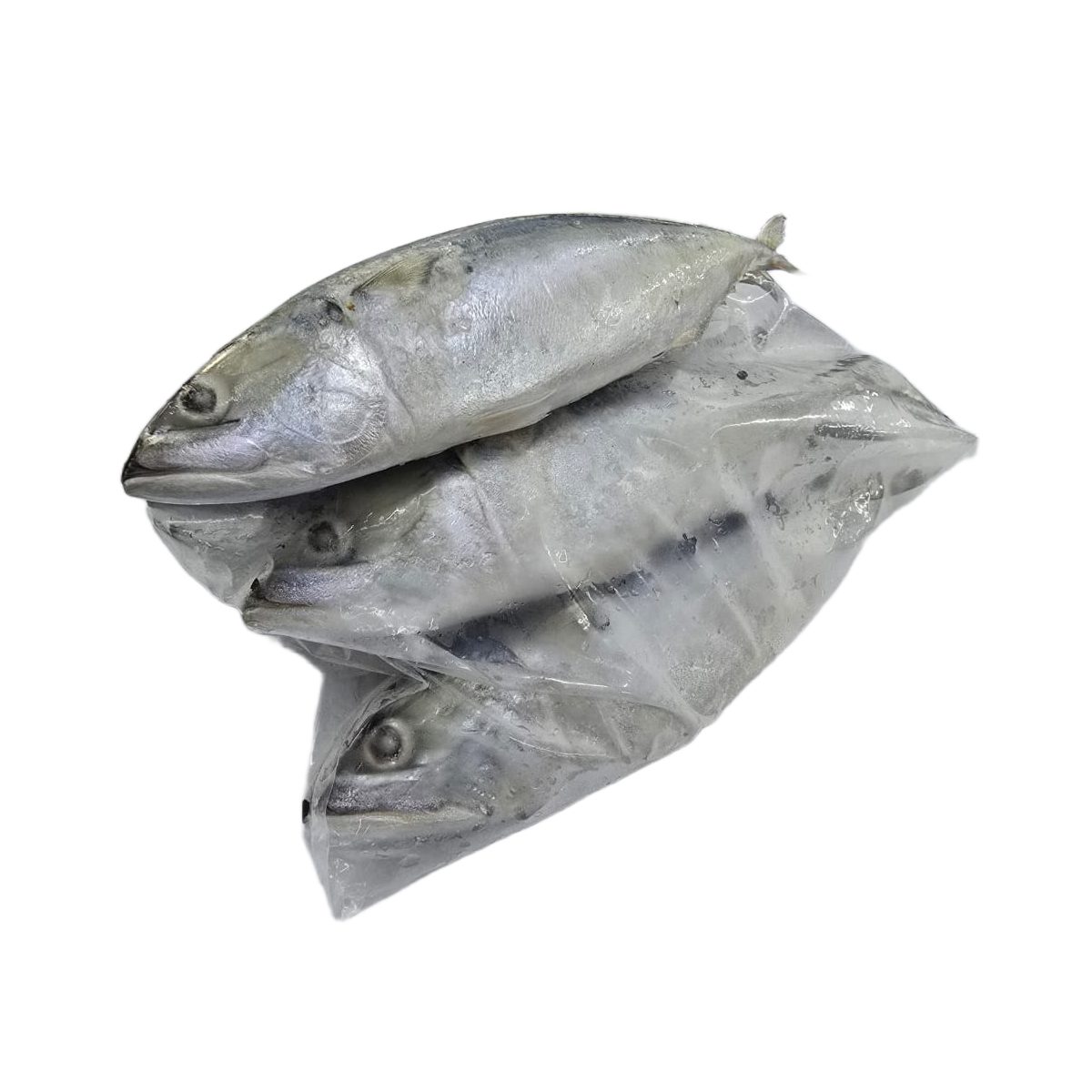 FZ Kembong 4-6 (PKT)